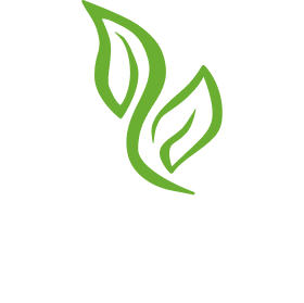 VT Carbon – VT Carbon